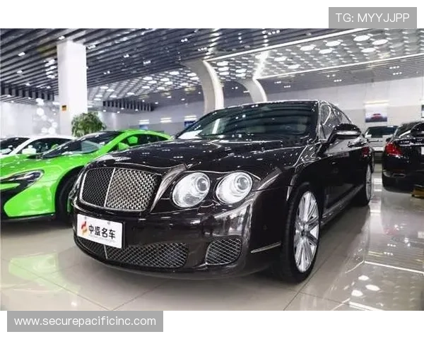 飞驰官方旗舰店积极响应用户反馈不断优化产品品质与服务质量